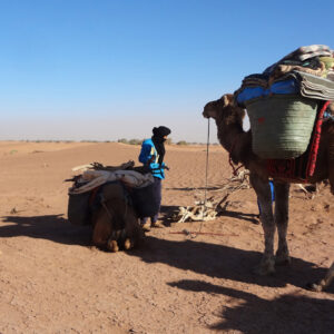6 Days Camel Trekking To Mezouaria Dunes