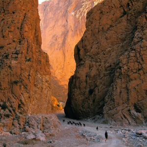 Dades - Todra gorge