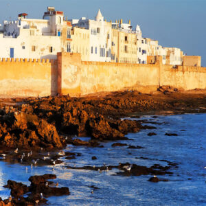 Essaouira desert tour