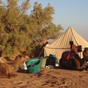 Morocco Excursions camel trek
