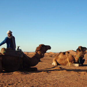 Morocco Excursions camel trekking