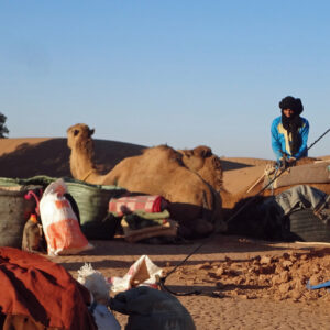 Morocco tour camel trekking