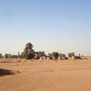 Morocco tour camel trekking Excursions