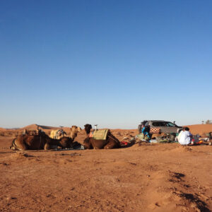 Morocco tour camel trekking in chigaga