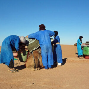 Private Desert camel trek tour