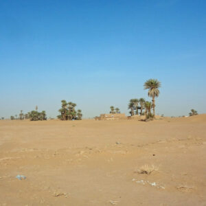 Private Excursions camel trek