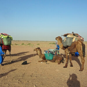 Private morocco Sahara camel trekking