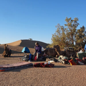 Private morocco camel trekking tour