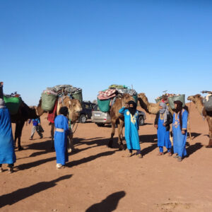 Sahara camel trekking experience