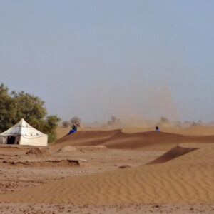 Sahara desert camel trek experience