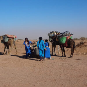 camel trekking in the desert