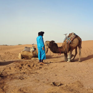 camel trekking morocco desert tour