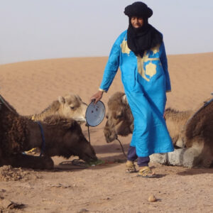 camel trekking sahara desert