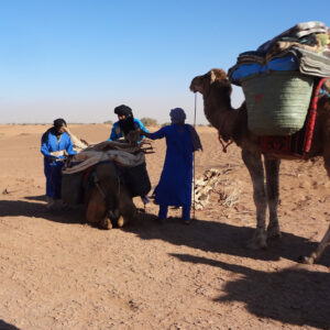 desert camel trekking experience