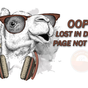 error page 404