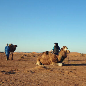 morocco camel trekking Excursions