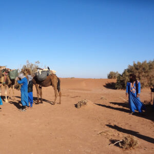morocco desert camel trek experience