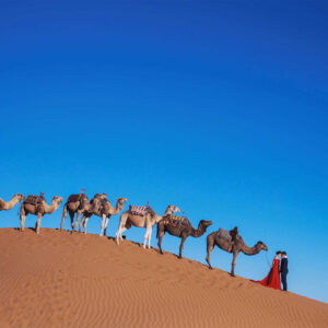 morocco widding and honeymoon tour