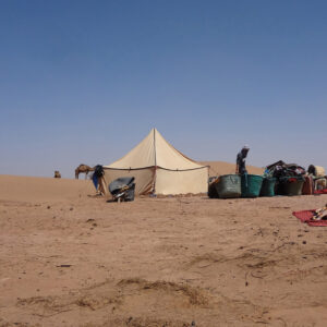sahara camel trek
