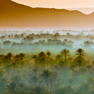 Zagora Desert Tour