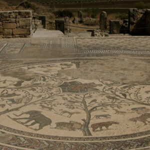 Meknes Volubilis tour