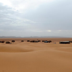 blog desert vie