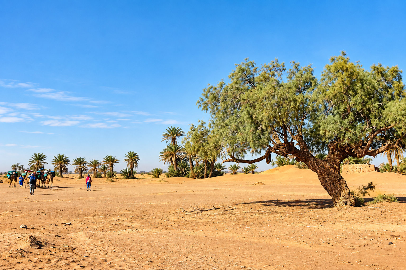 Le Pack Combiné : « Marrakech – Trek Chigaga » (4 Jours / 3 Nuits)